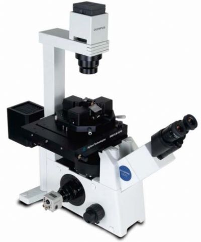 掃描探針顯微鏡
