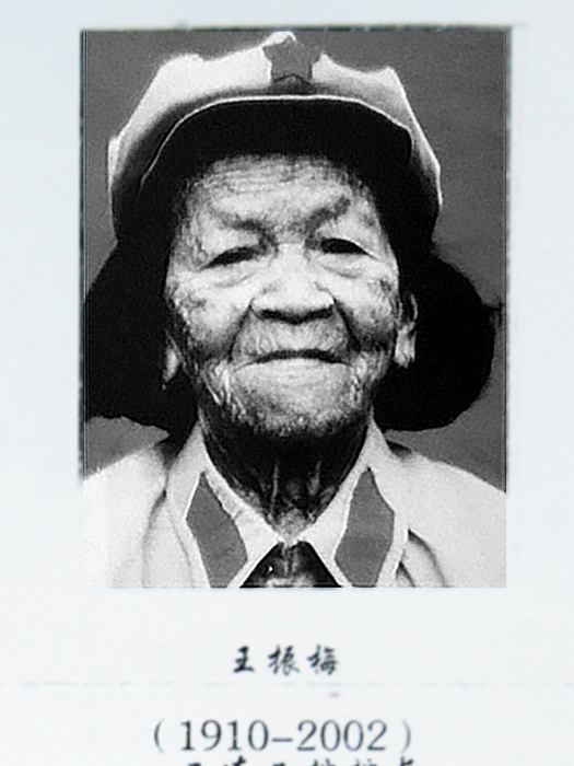 王振梅 王振梅