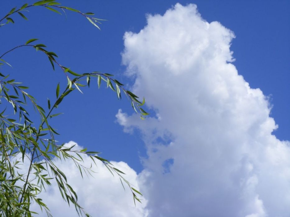 八月的天空 八月的天空