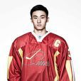 宋安東(中國冰球運動員、NHL中國第一人)