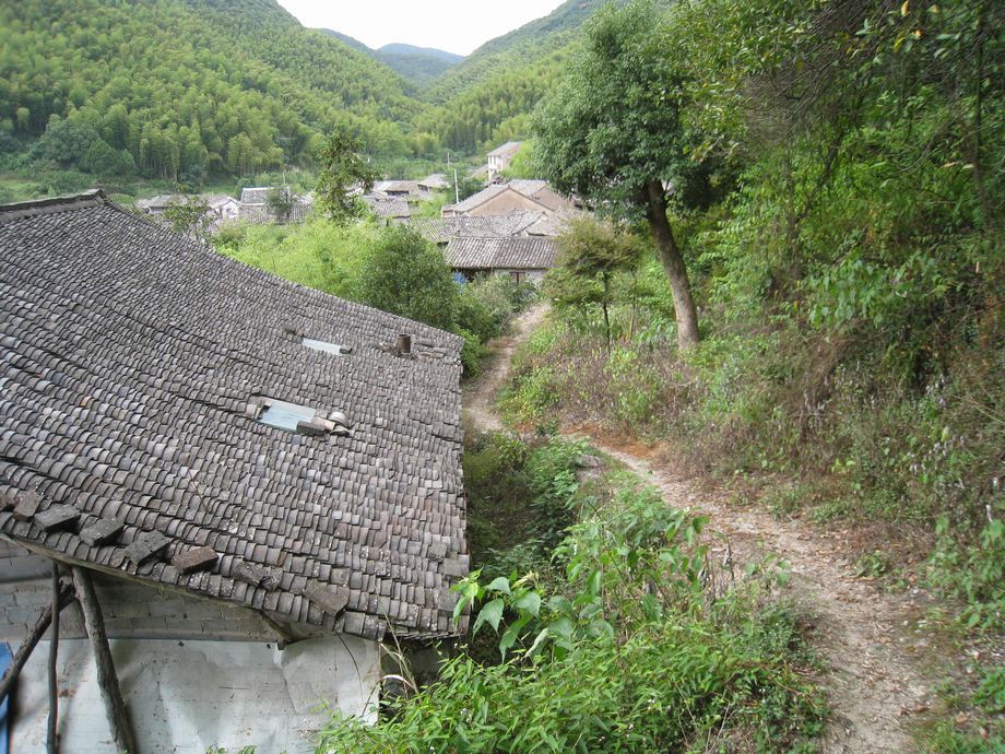 王家山古道 王家山古道
