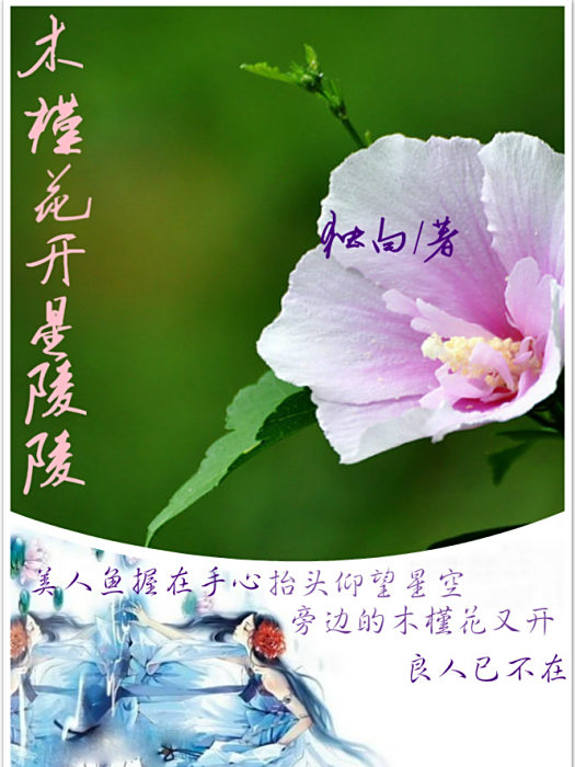 星月如君 星月如君