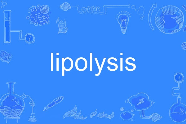 lipolysis lipolysis