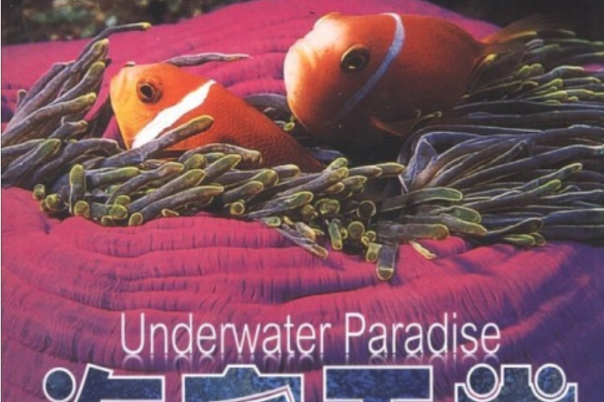 海底天堂 海底天堂