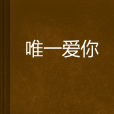 唯一愛你(小說) 唯一愛你(小說)