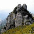 兔耳山風景區(兔耳山) 兔耳山風景區(兔耳山)