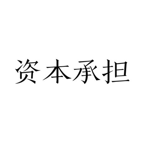 資本承擔