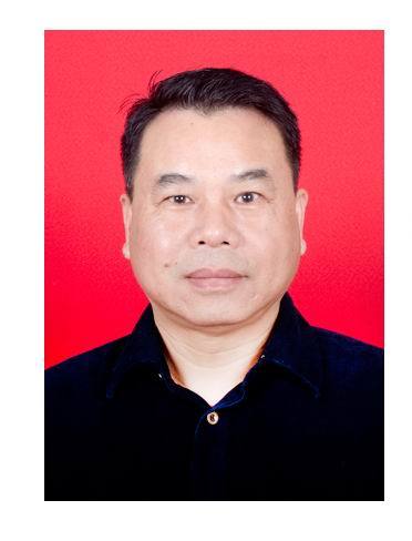廖雪峰(廣西興業縣文化和體育局黨組副書記)