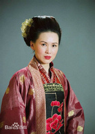 少年楊家將