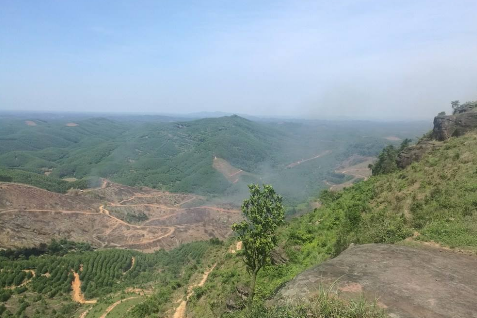 花甲山