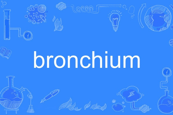 bronchium bronchium