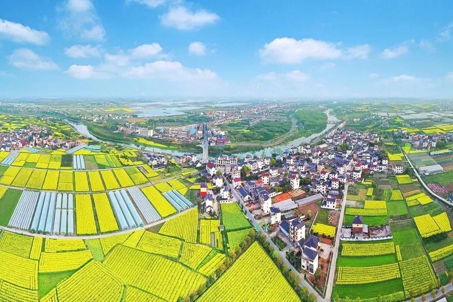 西山下村(浙江省衢州市衢江區蓮花鎮下轄行政村) 西山下村(浙江省衢州市衢江區蓮花鎮下轄行政村)