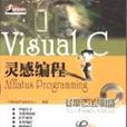 Visual C靈感編程