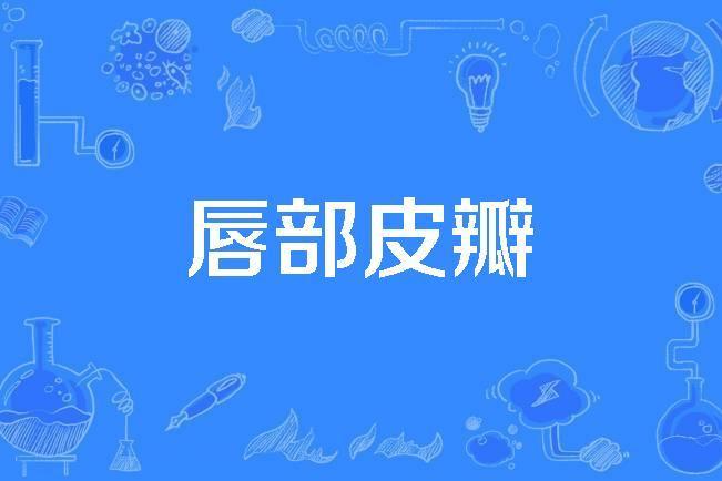 唇部皮瓣 唇部皮瓣