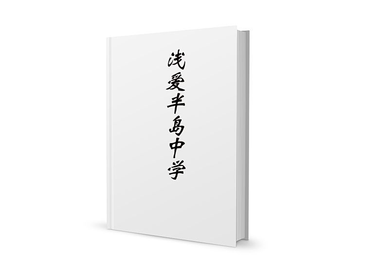 淺愛半島中學 淺愛半島中學