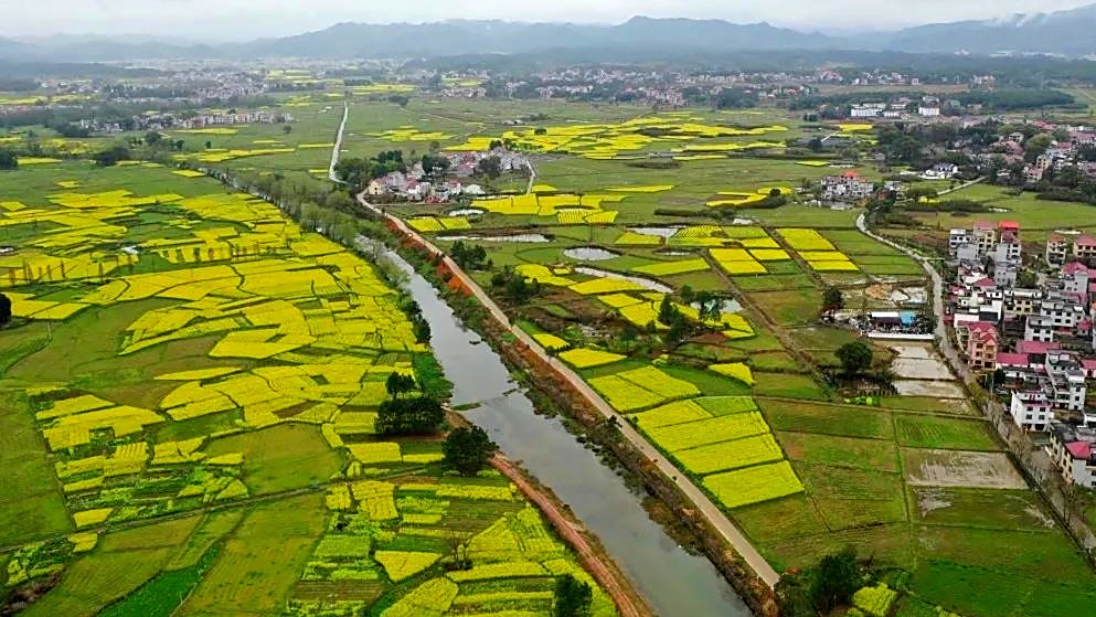 陳山河(長江流域鄱陽湖支流贛江支流禾水支流瀘水的支流)