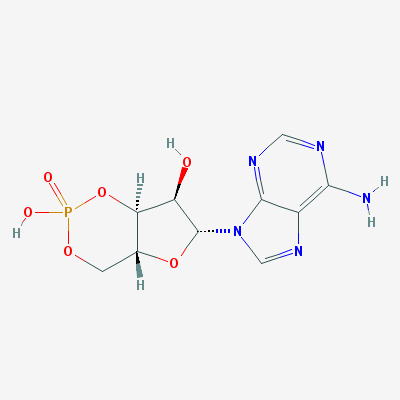 環腺苷酸