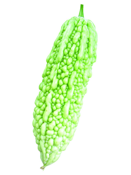 長白1號 長白1號