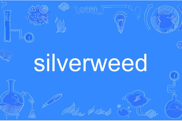 silverweed silverweed