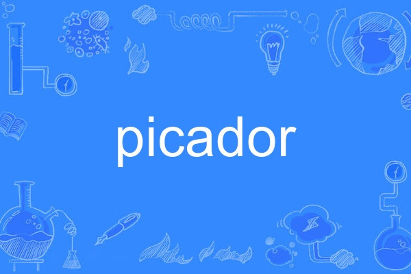 picador picador