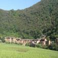 梅子樹村(雲南楚雄州牟定縣蟠貓鄉下轄村) 梅子樹村(雲南楚雄州牟定縣蟠貓鄉下轄村)