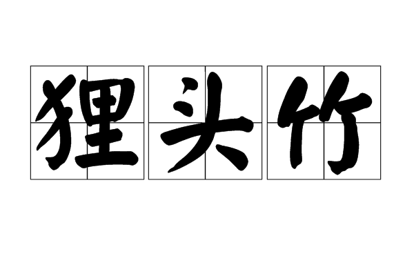 狸頭竹 狸頭竹