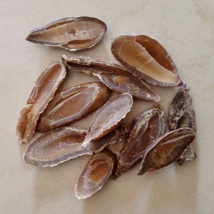 崇州鬱金