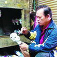 沈春福 沈春福