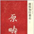 唐侯知什墓誌 唐侯知什墓誌