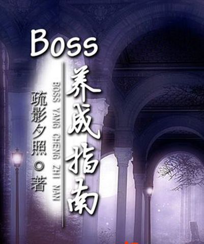 BOSS養成指南 BOSS養成指南
