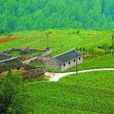 大台村(山西省夏縣尉郭鄉下轄村) 大台村(山西省夏縣尉郭鄉下轄村)