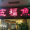 五福魚 五福魚