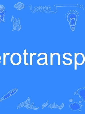 aerotransport