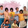 閃亮的日子(2009年台灣偶像劇) 閃亮的日子(2009年台灣偶像劇)