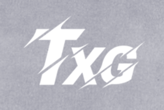 TXG戰隊 TXG戰隊