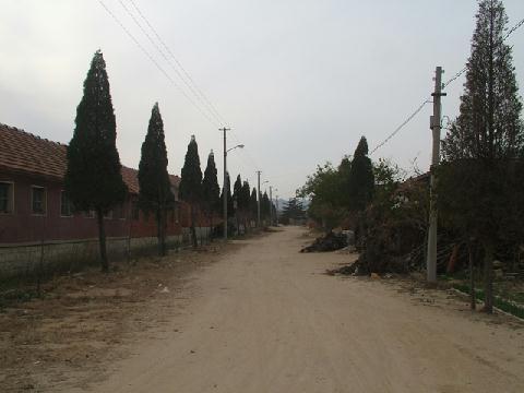 龍家莊村 龍家莊村