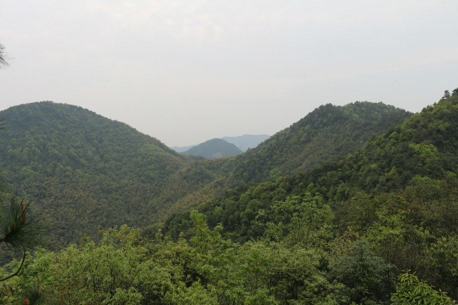 古城嶺古道 古城嶺古道