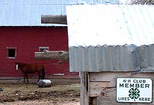 科羅拉多州一個農場的四健會成員標誌