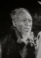 平原游擊隊(1955年郭振清主演電影)