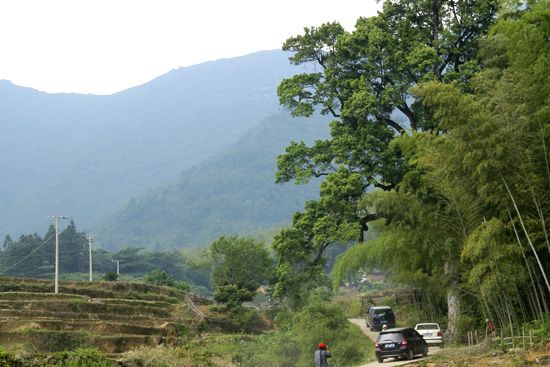 大華山村(1、江西省樂安縣寺灣鎮下轄村) 大華山村(1、江西省樂安縣寺灣鎮下轄村)