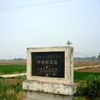 壽春城遺址 壽春城遺址