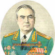 維克托·格奧爾基耶維奇·庫利科夫