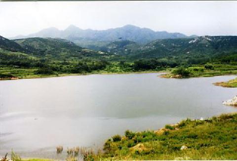 楊家崮村 楊家崮村