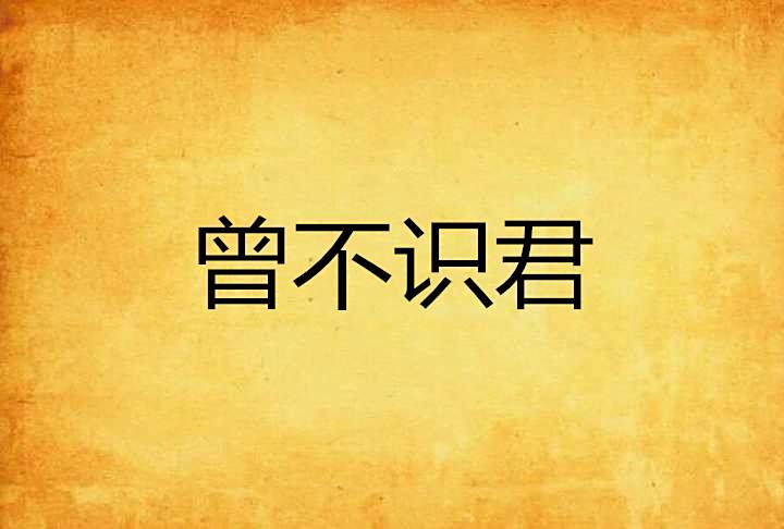 曾不識君