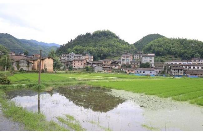 回上村