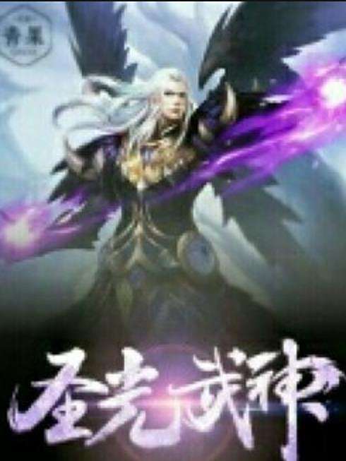 聖光武神(千幻雪羽所著玄幻小說) 聖光武神(千幻雪羽所著玄幻小說)