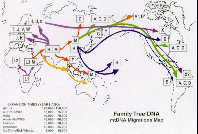 中國人種基因圖譜