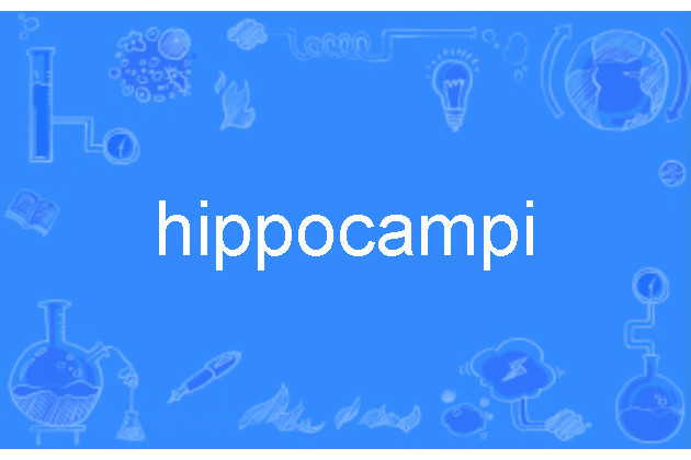 hippocampi hippocampi