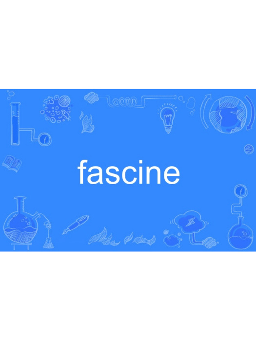 fascine fascine