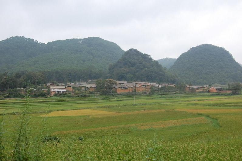 上拱村 上拱村